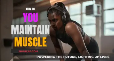 Maintaining Muscle: Strategies for Sustaining Strength and Physique