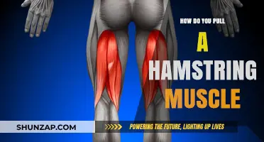 Understanding Hamstring Strains: Causes, Prevention, and Recovery Tips