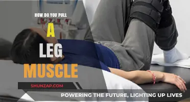Understanding Leg Muscle Strains: Causes, Symptoms, and Prevention Tips