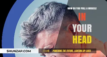 Understanding Head Muscle Strains: Causes, Symptoms, and Prevention Tips