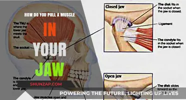 Understanding Jaw Muscle Strains: Causes, Symptoms, and Prevention Tips