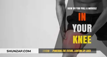 Understanding Knee Muscle Strains: Causes, Symptoms, and Prevention Tips