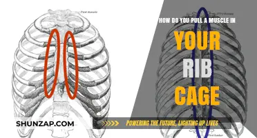 Understanding Rib Cage Muscle Strains: Causes, Symptoms, and Prevention Tips