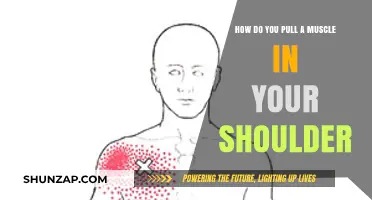 Understanding Shoulder Muscle Strains: Causes, Prevention, and Recovery Tips