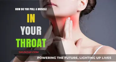 Understanding Throat Muscle Strains: Causes, Symptoms, and Prevention Tips