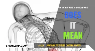 Understanding Muscle Strains: Causes, Symptoms, and Prevention Tips