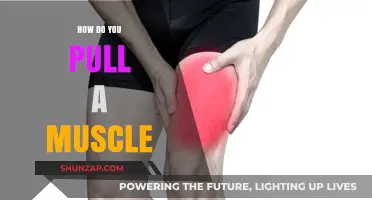 Understanding Muscle Strains: Causes, Prevention, and Recovery Tips