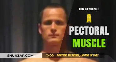 How to Pull a Pectoral Muscle: Causes, Prevention, and Recovery Tips