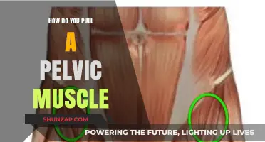 Understanding Pelvic Muscle Strains: Causes, Symptoms, and Recovery Tips