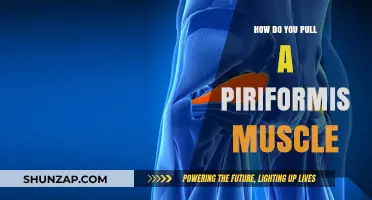 Understanding Piriformis Muscle Strains: Causes, Symptoms, and Prevention Tips