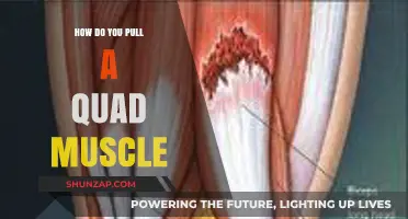 Understanding Quad Muscle Strains: Causes, Prevention, and Recovery Tips