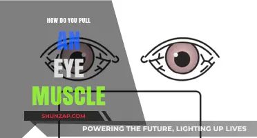 Understanding Eye Muscle Strains: Causes, Symptoms, and Recovery Tips