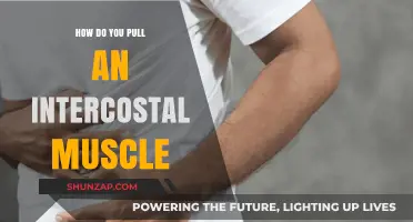 Understanding Intercostal Muscle Strains: Causes, Symptoms, and Prevention Tips