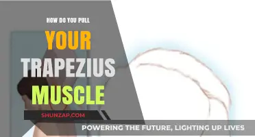 Understanding Trapezius Muscle Strains: Causes, Symptoms, and Prevention Tips