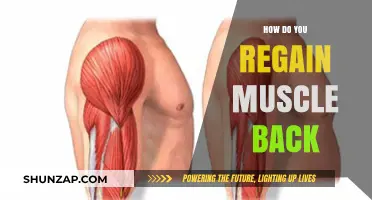 Reclaim Your Strength: A Guide to Regaining Lost Muscle Mass