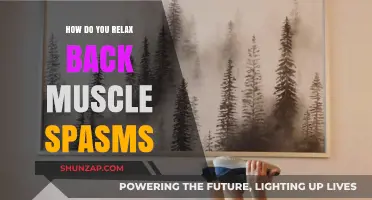 Effective Ways to Relieve Back Muscle Spasms and Promote Relaxation