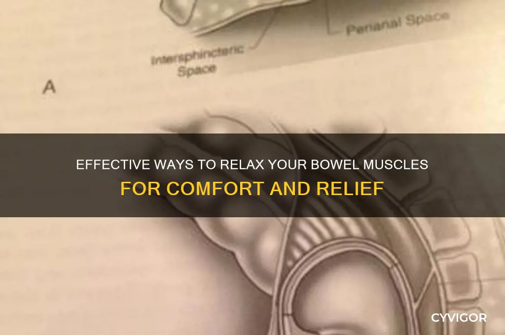 how do you relax your bowel muscles
