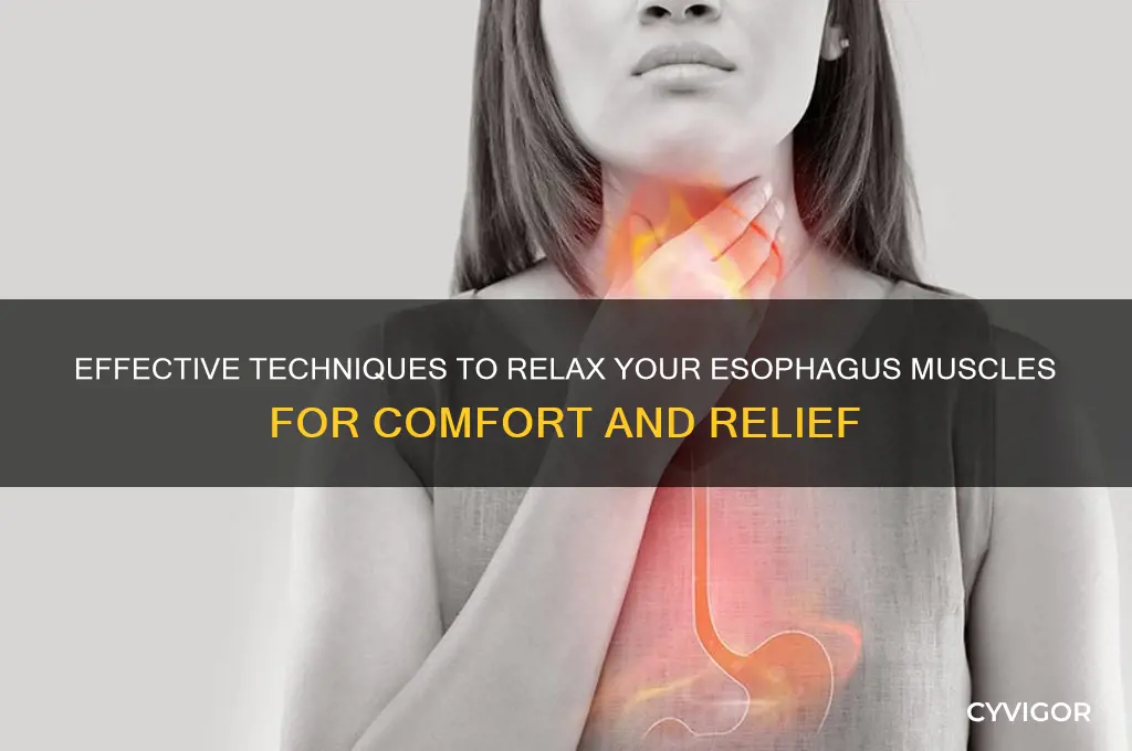 how do you relax your esophagus muscles
