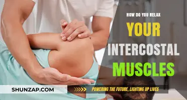 Effective Techniques to Relax Your Intercostal Muscles and Ease Tension