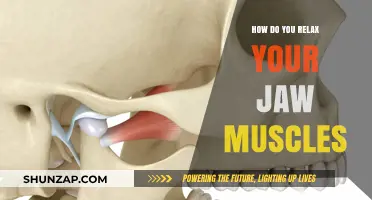 Effective Techniques to Relax Jaw Muscles and Relieve Tension