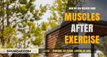 Effective Post-Workout Muscle Recovery Tips to Ease Soreness Fast