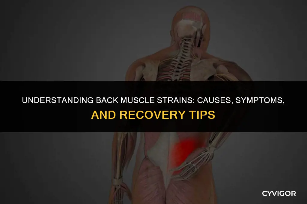 how do you strain a muscle in your back