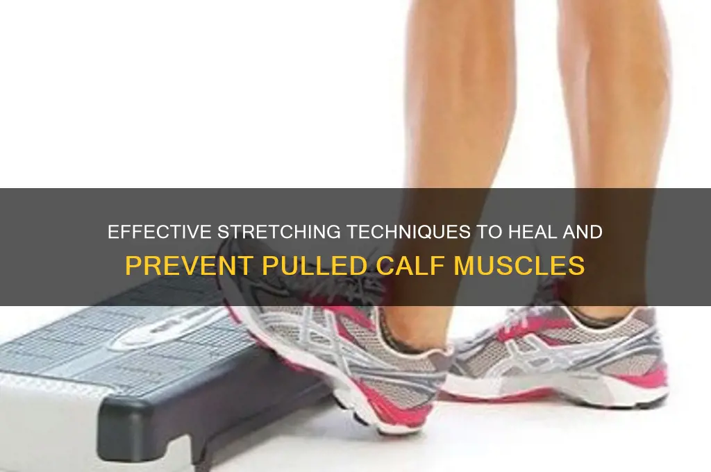 how do you stratch a pulled calf muscle