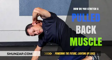 Effective Stretches to Relieve Pain from a Pulled Back Muscle