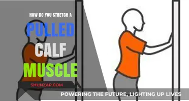 Effective Stretches and Recovery Tips for a Pulled Calf Muscle