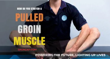 Effective Stretches for Healing and Preventing Pulled Groin Muscle Injuries