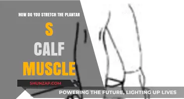 Effective Ways to Stretch Your Plantar Fascia and Calf Muscles