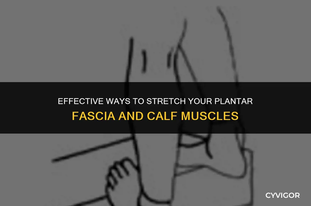 how do you stretch the plantar s calf muscle