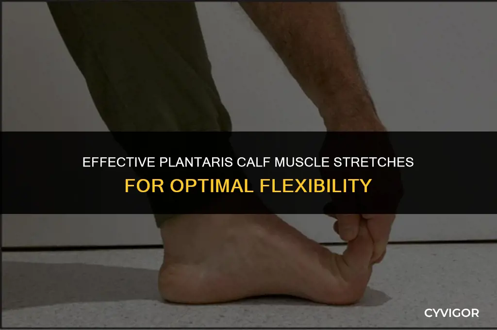 how do you stretch the plantaris calf muscle