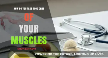 Effective Muscle Care Tips for Strength, Recovery, and Longevity