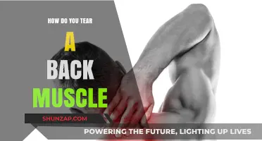 Understanding Back Muscle Tears: Causes, Symptoms, and Recovery Tips