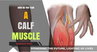 Understanding Calf Muscle Tears: Causes, Symptoms, and Recovery Tips