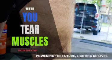 Tearing Muscles: Causes and Prevention Strategies