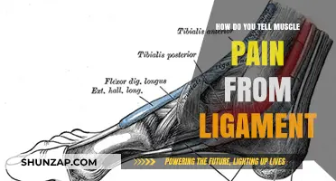 Muscle Pain vs. Ligament Injury: Key Differences and Symptoms