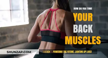 Strengthen Your Back: A Guide to Toning Your Muscles