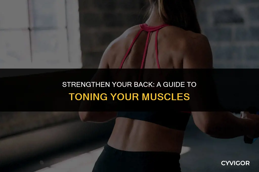 how do you tone your back muscles