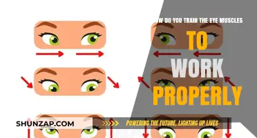 Strengthen Your Vision: Effective Eye Muscle Training Techniques Revealed