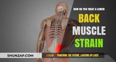 Effective Ways to Treat Lower Back Muscle Strain