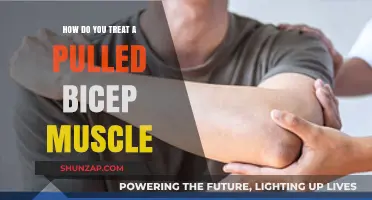 Effective Treatment Strategies for Pulled Bicep Muscle Recovery and Relief