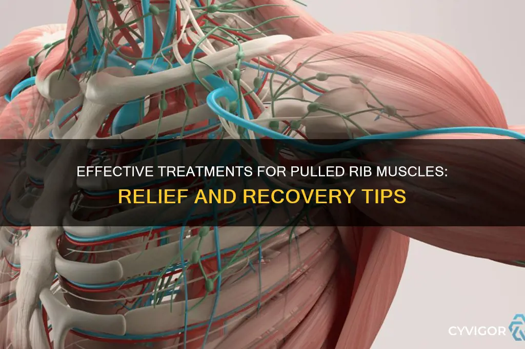 how do you treat a pulled muscle in your ribs