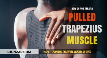 Effective Treatment Strategies for a Pulled Trapezius Muscle Relief