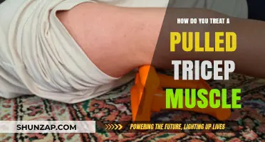 Effective Treatment Strategies for Healing a Pulled Tricep Muscle