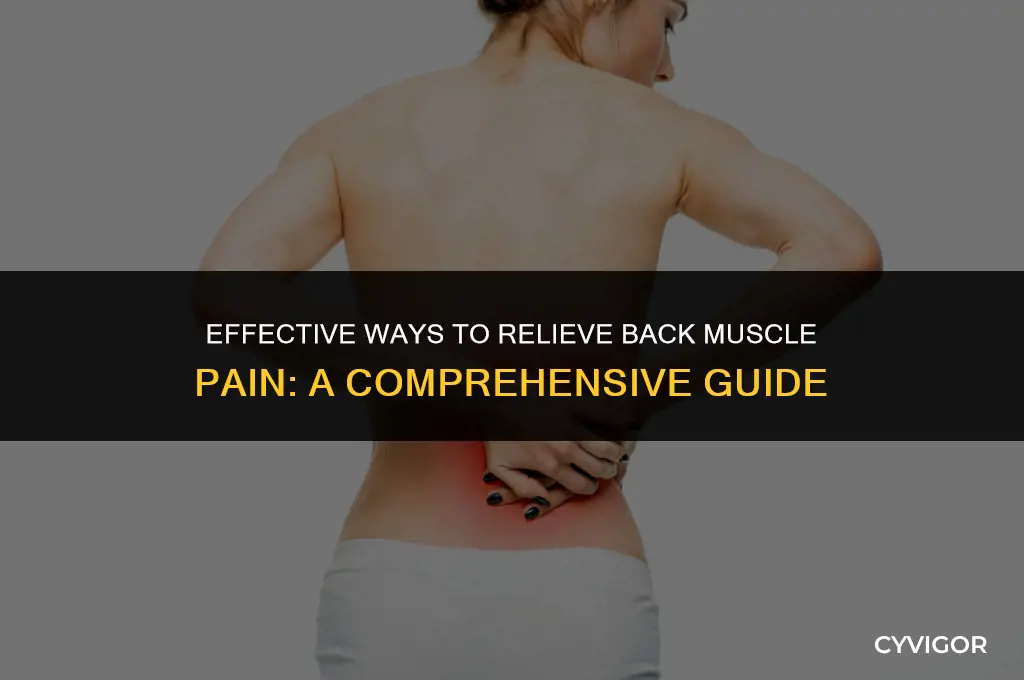 how do you treat back muscle pain