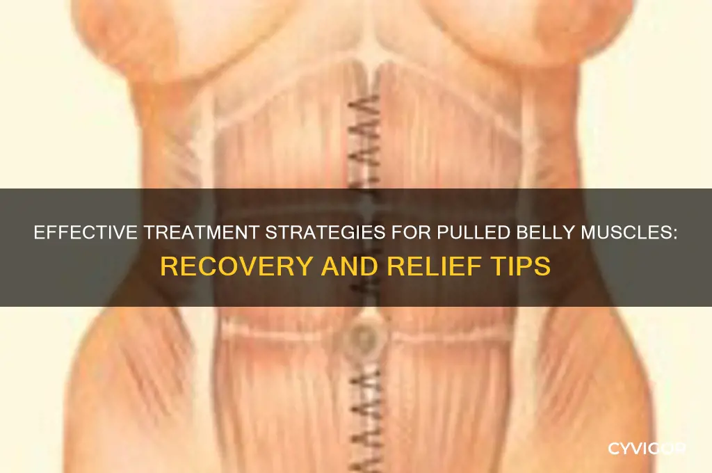 how do you treat pulled belly muscles