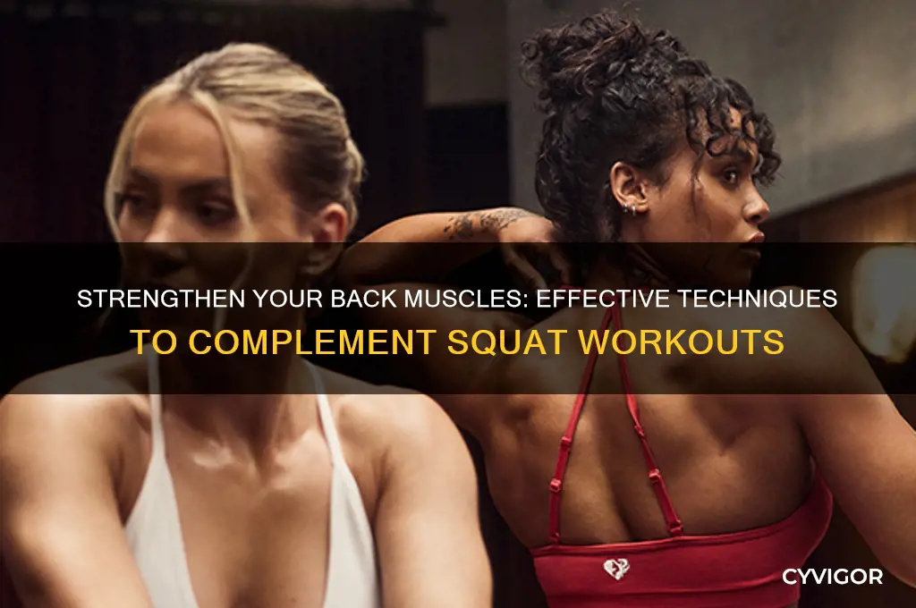 how do you work back muscles when squats