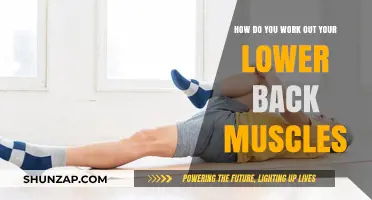 Effective Lower Back Workouts: Strengthen and Relieve Pain Safely